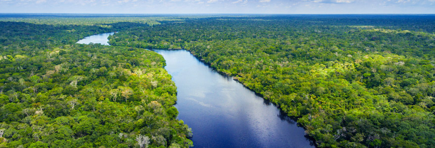 forêt amazonienne